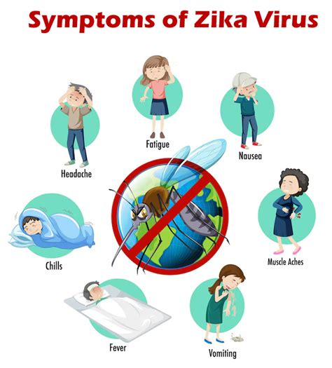 Zika virus: 